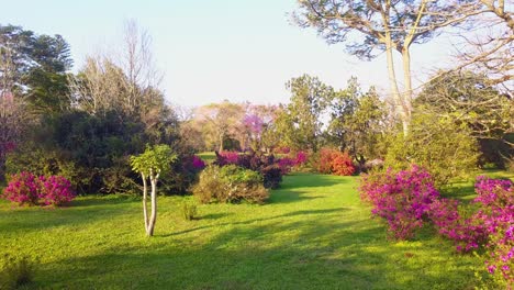 Garten-In-Voller-Blüte