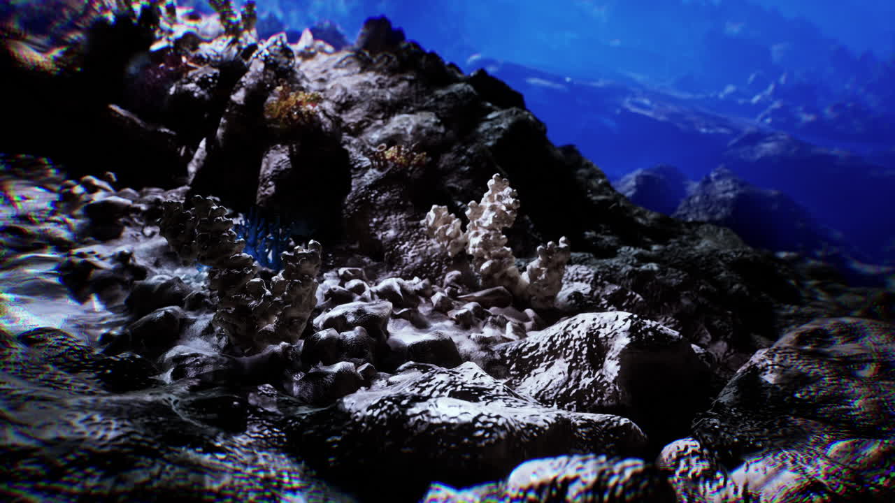 Exploring the vibrant seabed teeming with coral and marine life