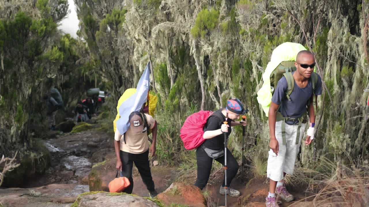 Hikers ascend to the Shira camp with a guide during the ascent of Mount Kilimanjaro