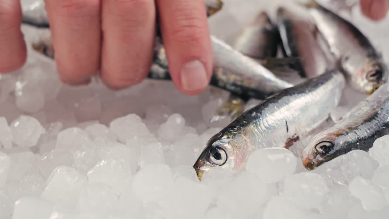 anchoas frescas en hielo