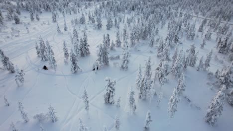 aerial view of snowmobilers in lapland, finland, arctic circle