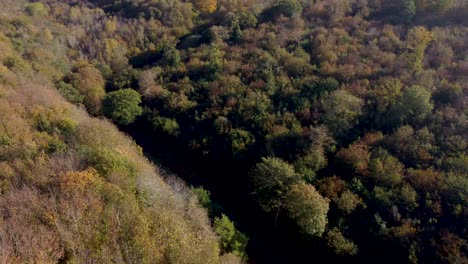 drone footage following a nature trail in autumn coloured trees