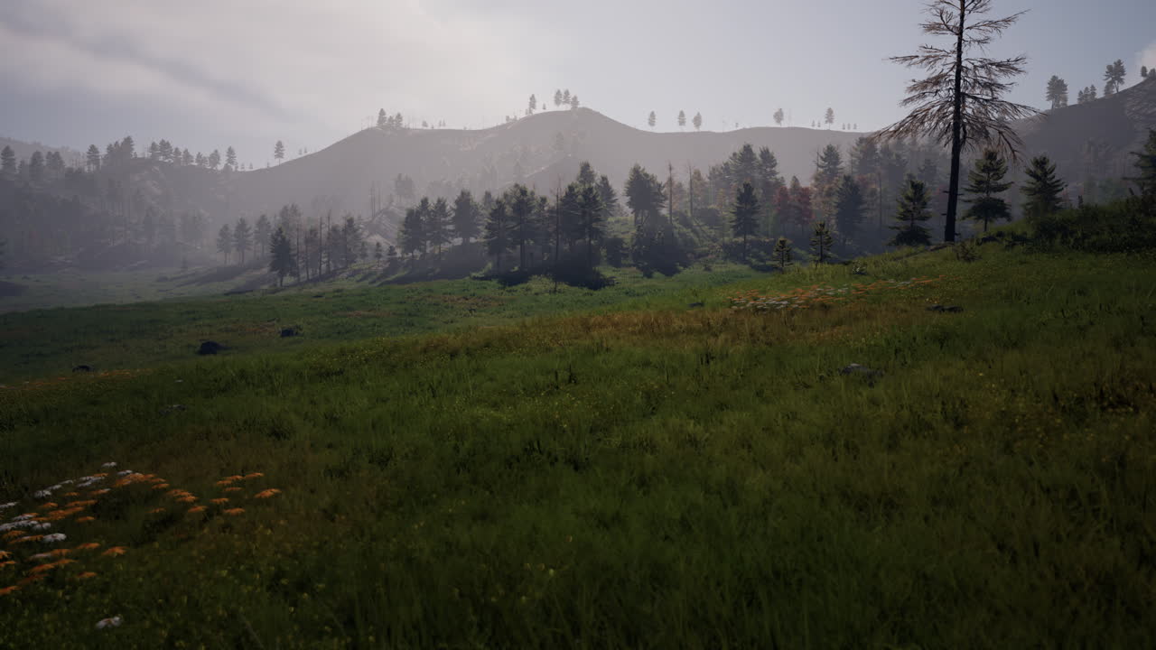 alpes suizos con prados verdes alpinos en una ladera y rodeados de bosques de pinos