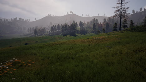 swiss alps with green alpine meadow on a hillside and surrounded by pine forests