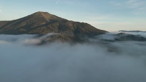 mountain tops with trees above thick clouds