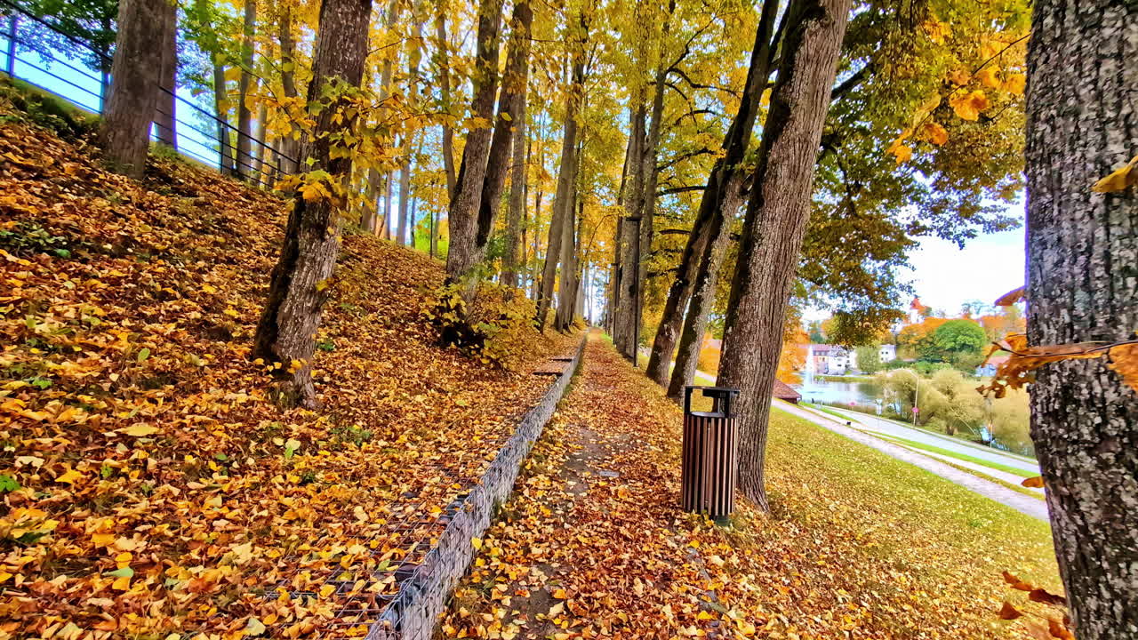 Colorful autumn walkway surrounded by golden and orange trees
