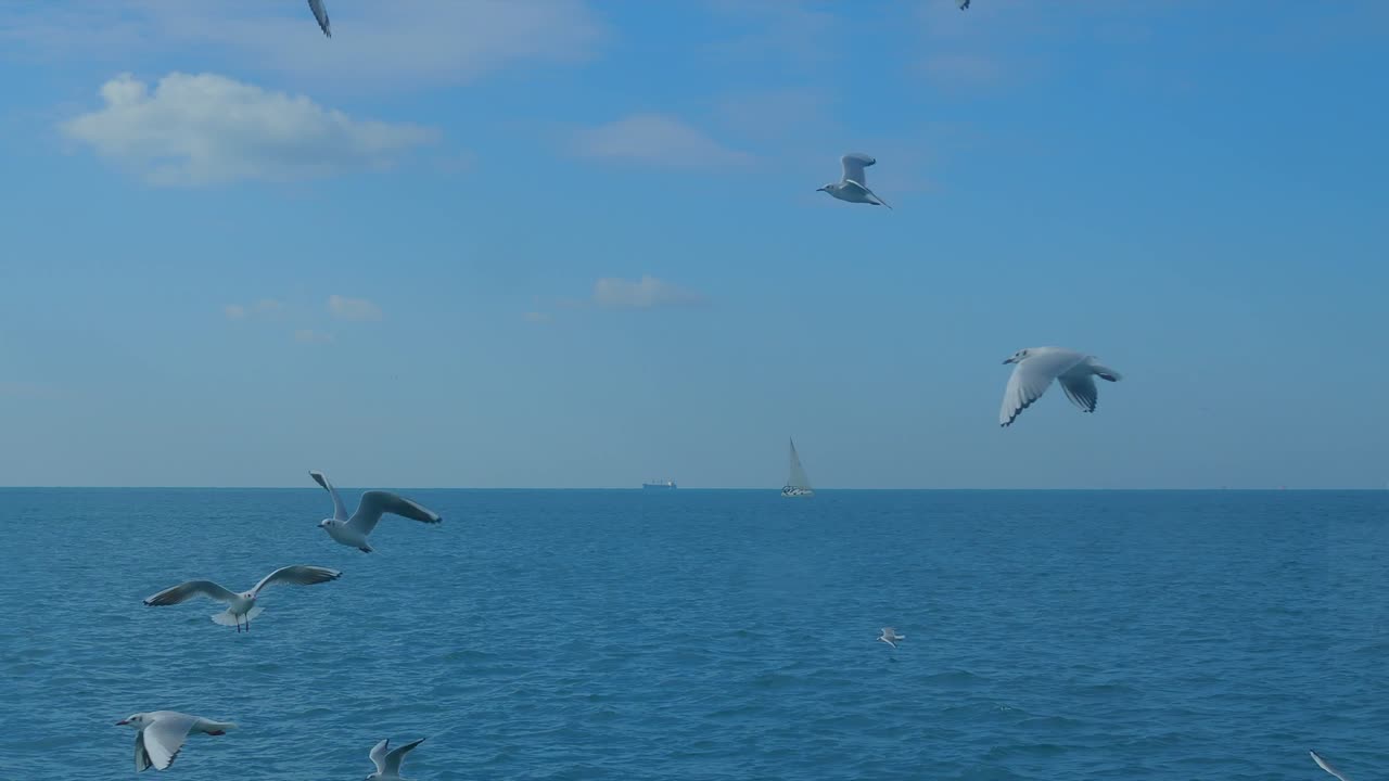 Flight around modern white and red lighthouse in Istanbul harbour with flying seagulls. Mediterranean sea calm waves many concrete buoys pier breakwater navigation shipping port City landscape skyline