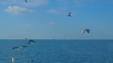 flight around modern white and red lighthouse in istanbul harbour with flying seagulls. mediterranean sea calm waves many concrete buoys pier breakwater navigation shipping port city landscape skyline