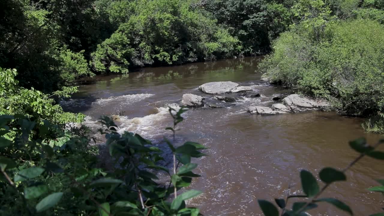 estableciendo una toma que muestra el río royal y los rápidos de white water y los árboles en yarmouth, maine