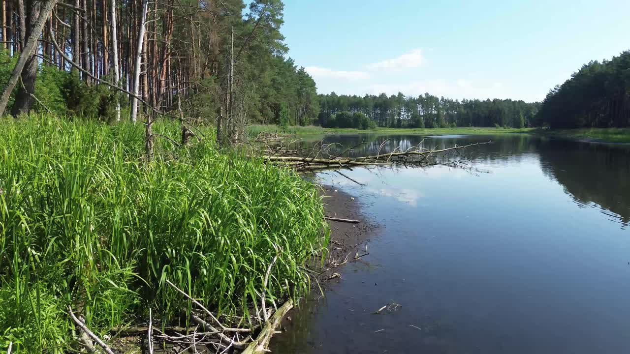 Dron szybuje nad europejskim jeziorem oświetlonym o świcie, uchwycając spokojną lagunę, bujny las i elegancki most.