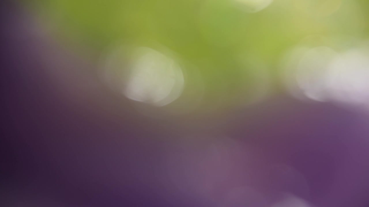 Sfondo astratto con luci bokeh soffuse