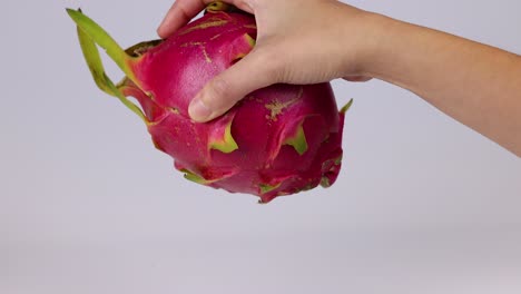 hands interact with a dragon fruit