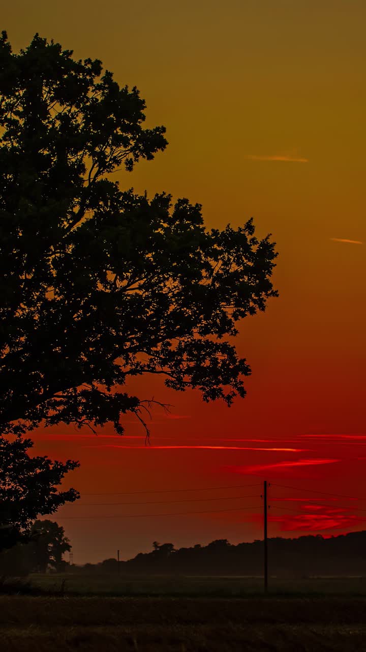 Vertical View Of Moonlight On A Red Fiery Sunset Sky With Silhouettes. Timelapse