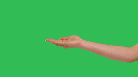 vista lateral de cerca de la hermosa mano femenina extendida aislada en la pantalla verde fondo clave de croma. mujer con la palma plana abierta vacía mostrando algo virtual e invisible. cámara lenta