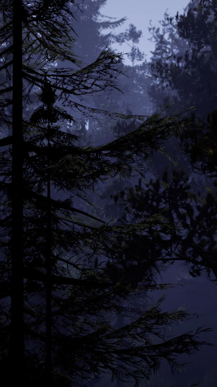 Foresta misteriosa al crepuscolo con alberi fitti e una soffice luce lunare