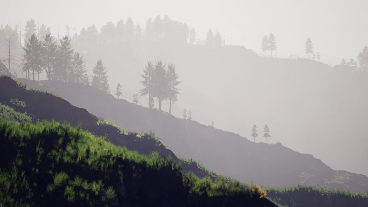 Misty mountain landscape enhances tranquility during early morning hours
