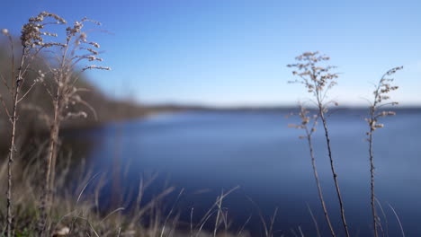 pan shot in yamaska national park