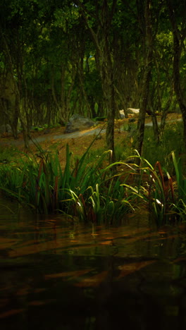 bosque sereno con agua tranquila y vegetación exuberante