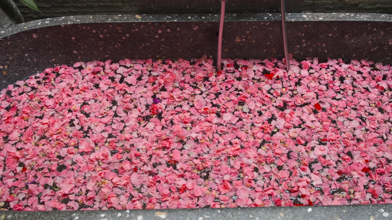 Rose Petal Filled Spa Tub