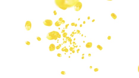 volando muchos granos de maíz en fondo blanco. semillas de maíz dulce amarillo. vegetariano. comida saludable. animación de bucle 3d de maíz girando.