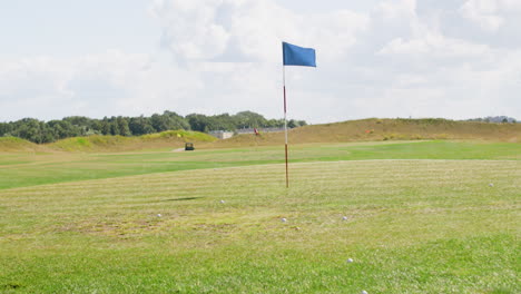 balls on the grass of the golf course.