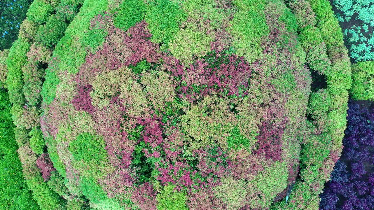 Circular Flower Garden Design at a Roundabout