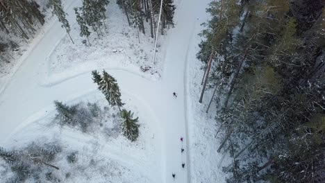 paisaje invernal con un grupo irreconocible de esquiadores en un sendero nevado