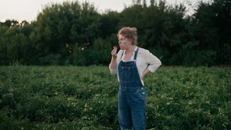 Happy-girl-Farmer-in-denim-overalls-stands-among-plants-and-eats-ripe-tomato-from-field-on-farm