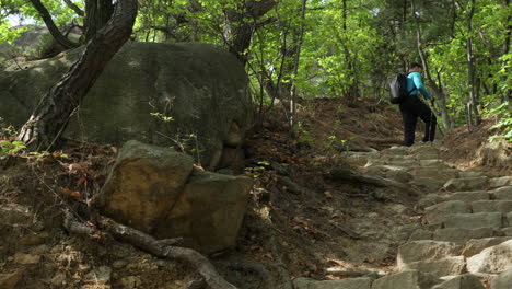 Hiker-Man-With-Hiking-Poles-Walking-Uphill-Stiff-Rocky-Path-in-Mountain-Forest---low-angle-panning-shot