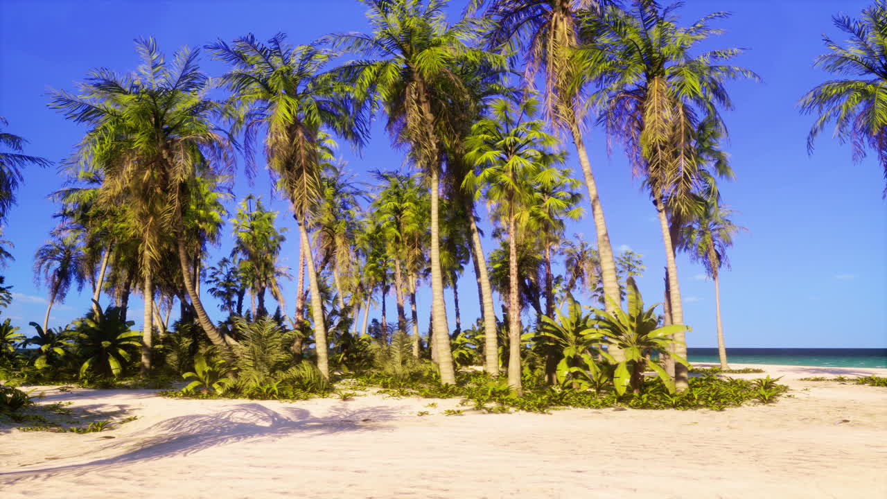 un paraíso de playa tropical con palmeras