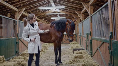 veterinarian examining a horse in a stable