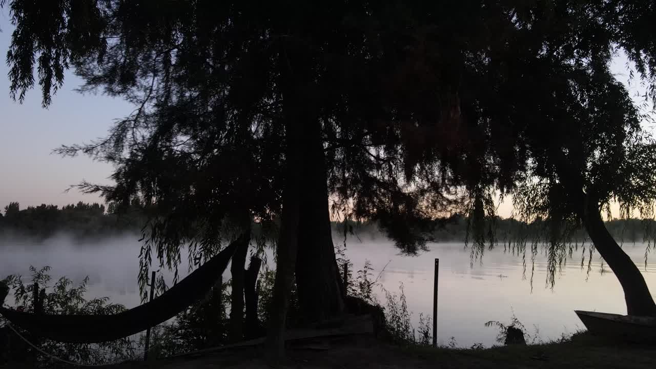 Trucking shot of tree silhouette on river shore of foggy mystic amazon river early in the morning. Cinematic wide shot during sunrise.