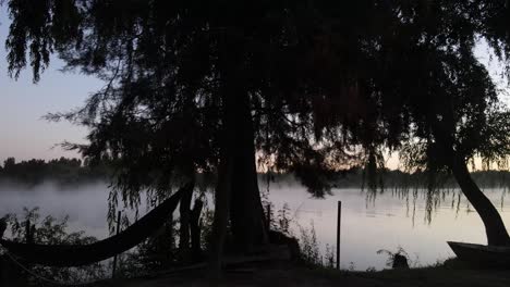 trucking shot of tree silhouette on river shore of foggy mystic amazon river early in the morning. cinematic wide shot during sunrise.