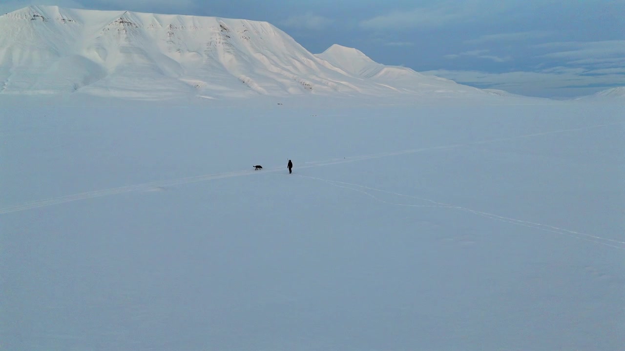 Una ripresa orbitale circonda un escursionista solitario e un cane che attraversano un'infinita distesa di neve bianca sotto imponenti cime artiche, incarnando l'isolamento nella natura selvaggia polare.