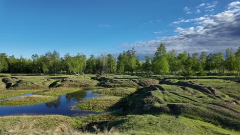 Eine-Friedliche-Und-Ruhige-Waldlandschaft-In-Russland-Mit-Sanften-Hügeln-Und-üppigem-Grün