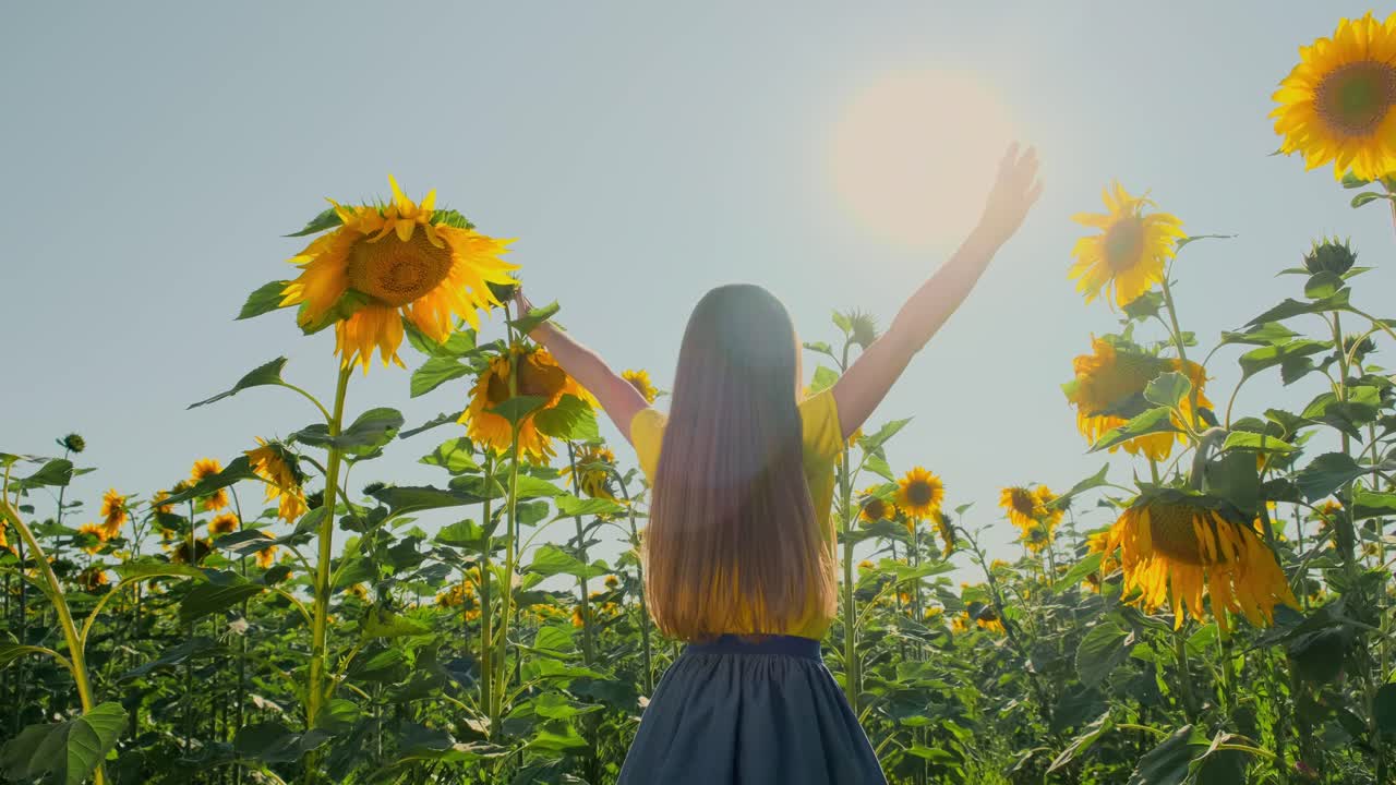 Child Playing in a Sunflower Field