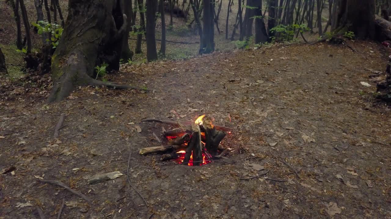 Bål mellem træer, efterladt i skoven, bållejr med brændende træ alene