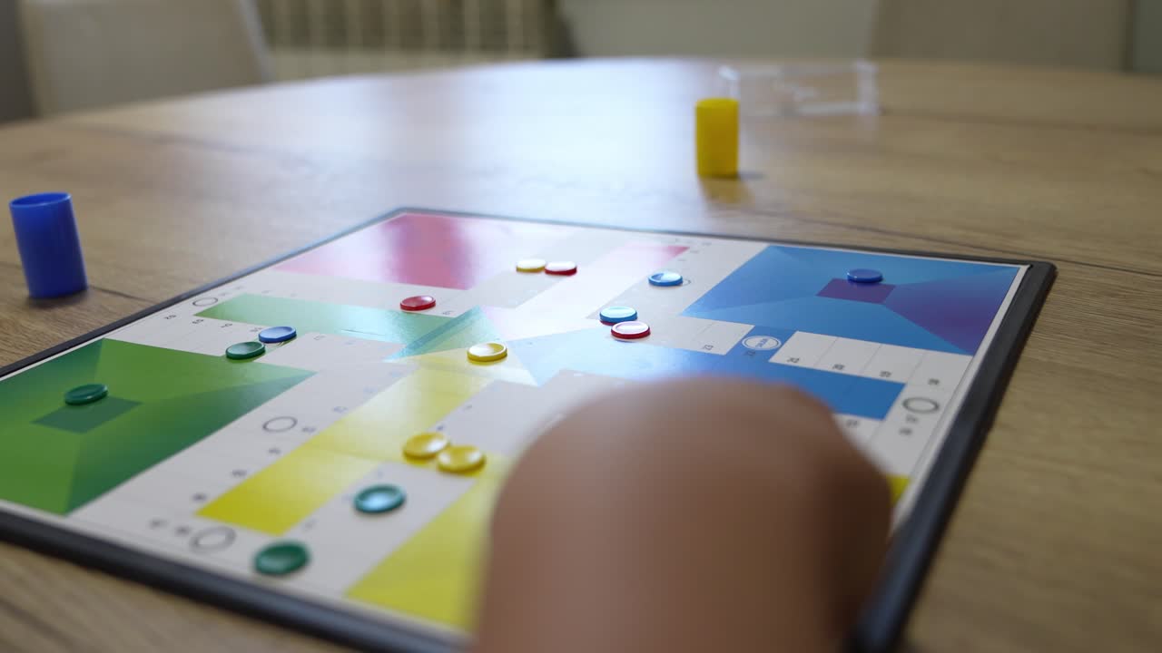 Ludo Board Game