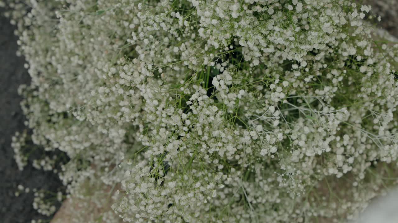 아기의 호흡 꽃의 울창한 꽃줄기, 부드러운 색 꽃과 섬세한 외모를 보여주는 가까운