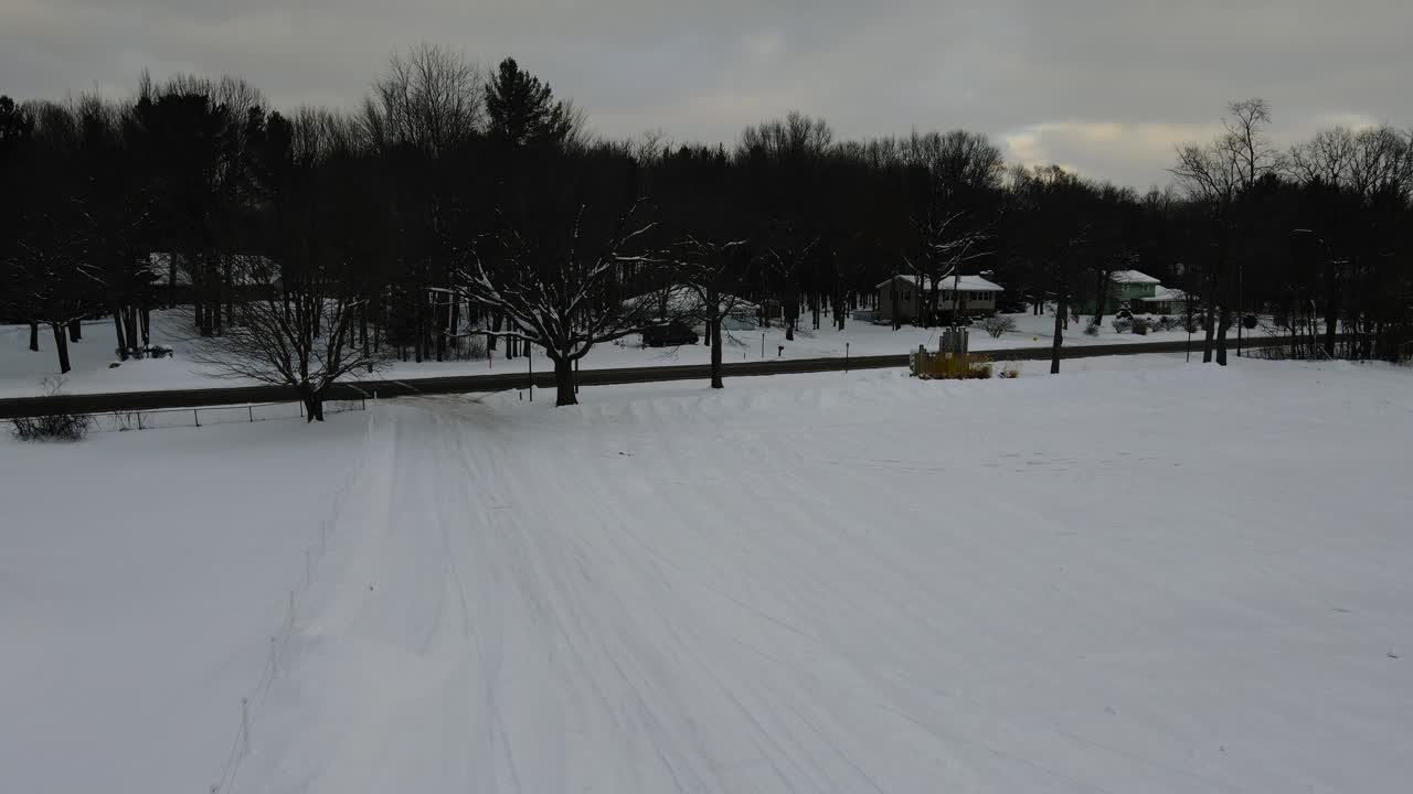 추운 날씨에 눈으로 덮인 겨울 동안 죽은 나무