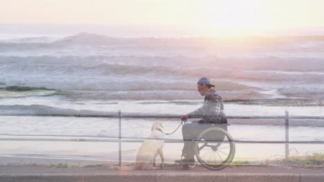 animation of sea landscape over disabled cuacasian man sitting in wheelchair with his dog