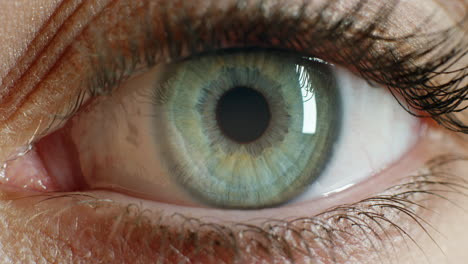 close up beautiful blue eye opening human iris macro natural beauty