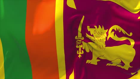 agitando la bandera de sri lanka
