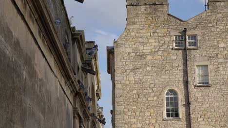 Tauben-Sitzen-Auf-Alten-Gebäuden-In-Bath,-England---Aufnahme-Aus-Niedrigem-Winkel