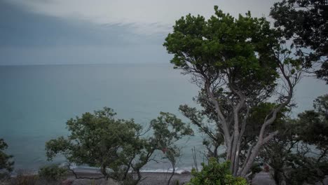 Sardinia-Cliff-Trees-4K-05