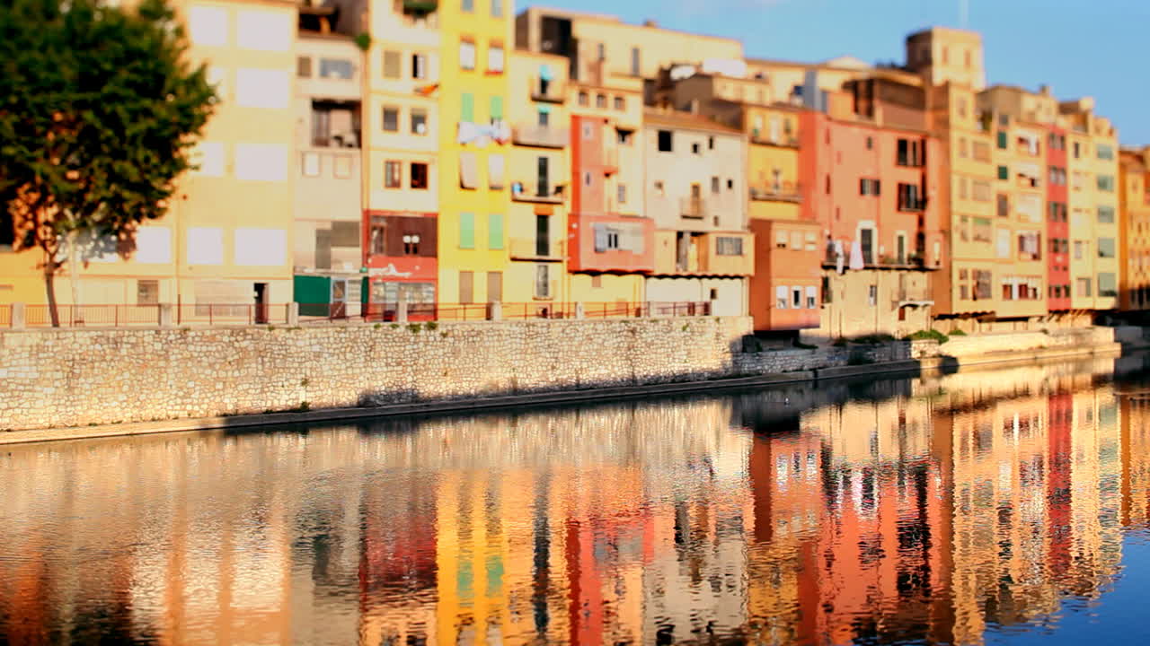 지로나 리플렉션 00