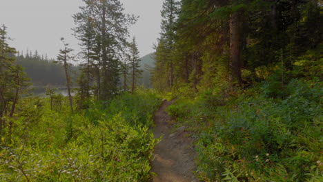 Walking-down-a-trail-near-Lost-Lake-in-Colorado