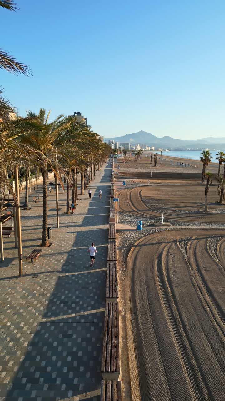 Vista aerea da drone di palme su una passeggiata vicino alla spiaggia ed edifici lungo la costa di Alicante, Spagna. Verticale