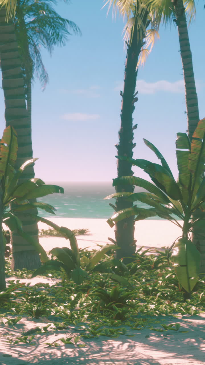Tropical Beach with Palm Trees