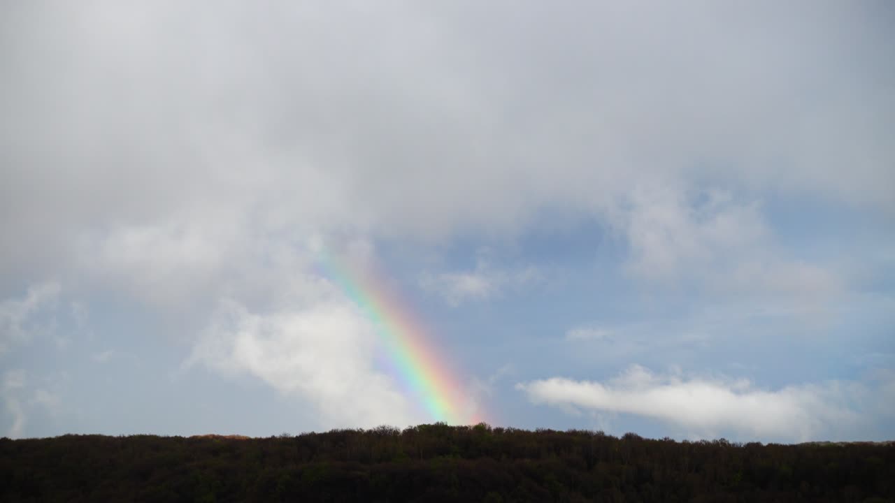 arco iris en el cielo después de la lluvia sobre el bosque.